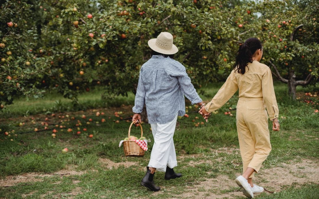 Two people holding hands and walking in an apple orchard, one carrying a basket with a red and white cloth.