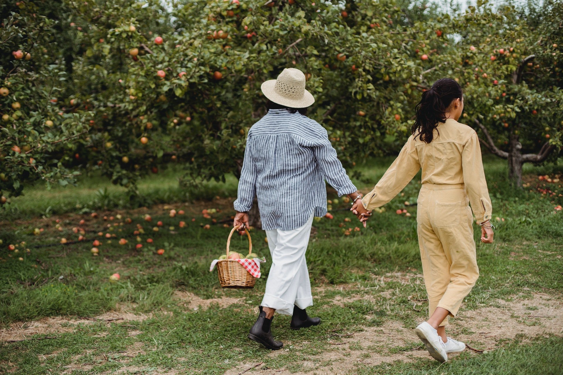 Two people holding hands and walking in an apple orchard, one carrying a basket with a red and white cloth.